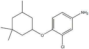 3-chloro-4-[(3,3,5-trimethylcyclohexyl)oxy]aniline 结构式