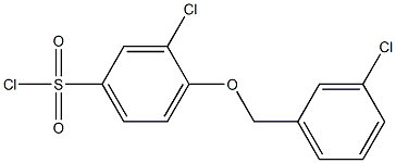 3-chloro-4-[(3-chlorophenyl)methoxy]benzene-1-sulfonyl chloride 结构式