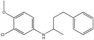 3-chloro-4-methoxy-N-(4-phenylbutan-2-yl)aniline 结构式