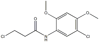 3-chloro-N-(5-chloro-2,4-dimethoxyphenyl)propanamide 结构式