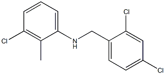 3-chloro-N-[(2,4-dichlorophenyl)methyl]-2-methylaniline 结构式
