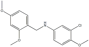 3-chloro-N-[(2,4-dimethoxyphenyl)methyl]-4-methoxyaniline 结构式