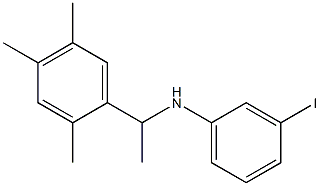 3-iodo-N-[1-(2,4,5-trimethylphenyl)ethyl]aniline 结构式