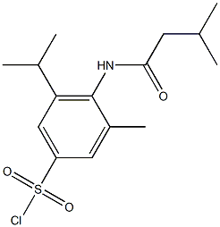 3-methyl-4-(3-methylbutanamido)-5-(propan-2-yl)benzene-1-sulfonyl chloride 结构式