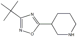 3-tert-butyl-5-(piperidin-3-yl)-1,2,4-oxadiazole 结构式