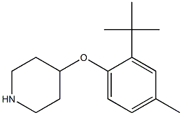 4-(2-tert-butyl-4-methylphenoxy)piperidine 结构式