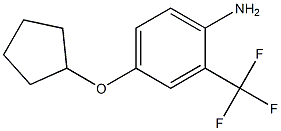 4-(cyclopentyloxy)-2-(trifluoromethyl)aniline 结构式