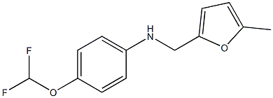 4-(difluoromethoxy)-N-[(5-methylfuran-2-yl)methyl]aniline 结构式