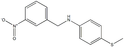 4-(methylsulfanyl)-N-[(3-nitrophenyl)methyl]aniline 结构式