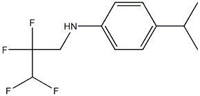 4-(propan-2-yl)-N-(2,2,3,3-tetrafluoropropyl)aniline 结构式