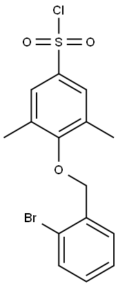 4-[(2-bromophenyl)methoxy]-3,5-dimethylbenzene-1-sulfonyl chloride 结构式