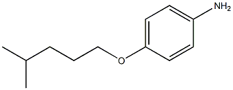 4-[(4-methylpentyl)oxy]aniline 结构式