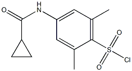 4-[(cyclopropylcarbonyl)amino]-2,6-dimethylbenzenesulfonyl chloride 结构式