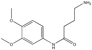 4-amino-N-(3,4-dimethoxyphenyl)butanamide 结构式