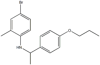 4-bromo-2-methyl-N-[1-(4-propoxyphenyl)ethyl]aniline 结构式