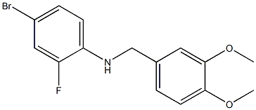 4-bromo-N-[(3,4-dimethoxyphenyl)methyl]-2-fluoroaniline 结构式