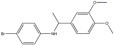 4-bromo-N-[1-(3,4-dimethoxyphenyl)ethyl]aniline 结构式