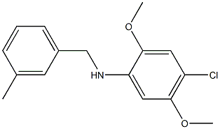 4-chloro-2,5-dimethoxy-N-[(3-methylphenyl)methyl]aniline 结构式