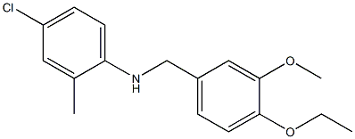 4-chloro-N-[(4-ethoxy-3-methoxyphenyl)methyl]-2-methylaniline 结构式