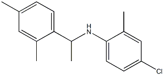 4-chloro-N-[1-(2,4-dimethylphenyl)ethyl]-2-methylaniline 结构式