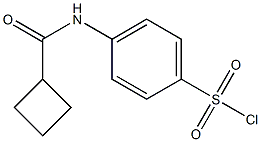 4-cyclobutaneamidobenzene-1-sulfonyl chloride 结构式