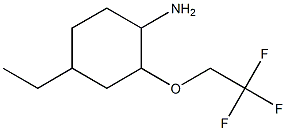 4-ethyl-2-(2,2,2-trifluoroethoxy)cyclohexanamine 结构式