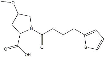 4-methoxy-1-(4-thien-2-ylbutanoyl)pyrrolidine-2-carboxylic acid 结构式