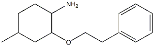 4-methyl-2-(2-phenylethoxy)cyclohexan-1-amine 结构式