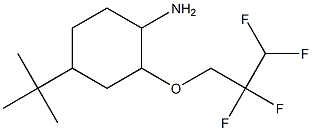 4-tert-butyl-2-(2,2,3,3-tetrafluoropropoxy)cyclohexan-1-amine 结构式