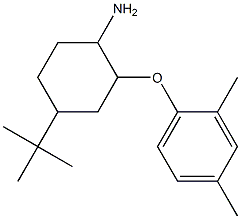 4-tert-butyl-2-(2,4-dimethylphenoxy)cyclohexan-1-amine 结构式