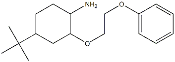 4-tert-butyl-2-(2-phenoxyethoxy)cyclohexan-1-amine 结构式