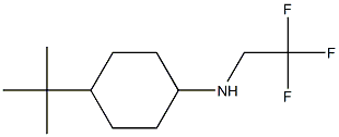 4-tert-butyl-N-(2,2,2-trifluoroethyl)cyclohexan-1-amine 结构式