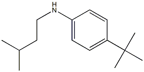 4-tert-butyl-N-(3-methylbutyl)aniline 结构式