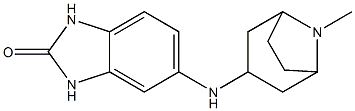 5-({8-methyl-8-azabicyclo[3.2.1]octan-3-yl}amino)-2,3-dihydro-1H-1,3-benzodiazol-2-one 结构式