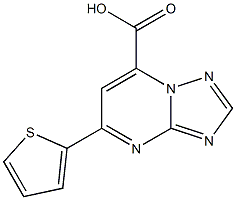 5-(thiophen-2-yl)-[1,2,4]triazolo[1,5-a]pyrimidine-7-carboxylic acid 结构式