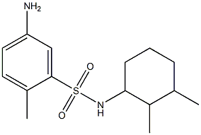 5-amino-N-(2,3-dimethylcyclohexyl)-2-methylbenzene-1-sulfonamide 结构式