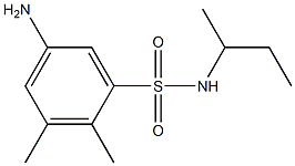 5-amino-N-(butan-2-yl)-2,3-dimethylbenzene-1-sulfonamide 结构式