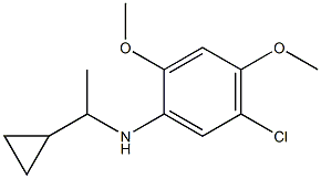 5-chloro-N-(1-cyclopropylethyl)-2,4-dimethoxyaniline 结构式