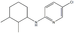 5-chloro-N-(2,3-dimethylcyclohexyl)pyridin-2-amine 结构式