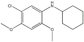 5-chloro-N-cyclohexyl-2,4-dimethoxyaniline 结构式