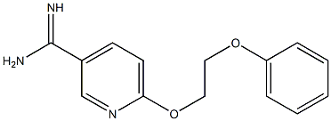 6-(2-phenoxyethoxy)pyridine-3-carboximidamide 结构式