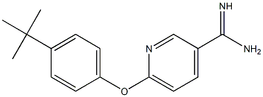 6-(4-tert-butylphenoxy)pyridine-3-carboximidamide 结构式