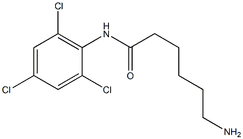 6-amino-N-(2,4,6-trichlorophenyl)hexanamide 结构式