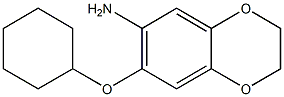 7-(cyclohexyloxy)-2,3-dihydro-1,4-benzodioxin-6-amine 结构式