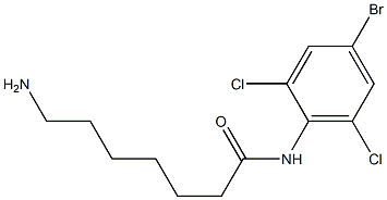 7-amino-N-(4-bromo-2,6-dichlorophenyl)heptanamide 结构式