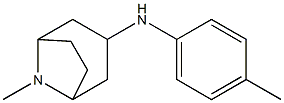 8-methyl-N-(4-methylphenyl)-8-azabicyclo[3.2.1]octan-3-amine 结构式