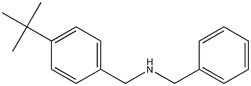 benzyl[(4-tert-butylphenyl)methyl]amine 结构式