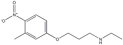 ethyl[3-(3-methyl-4-nitrophenoxy)propyl]amine 结构式