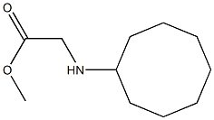 methyl 2-(cyclooctylamino)acetate 结构式