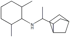 N-(1-{bicyclo[2.2.1]heptan-2-yl}ethyl)-2,6-dimethylcyclohexan-1-amine 结构式